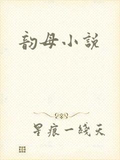韵母小说