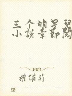 三个明星儿媳妇小说章节阅读免费全文