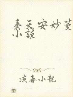 秦天安妙菱修仙小说封面
