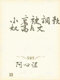 小哀被调教成肉奴高h文封面
