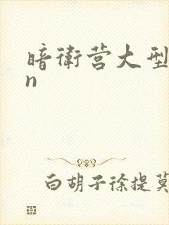 暗卫营大型hpn