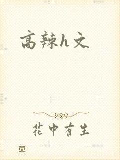 高辣h文