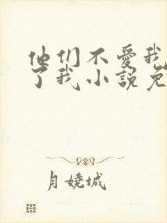 他们不爱我却生了我小说免费阅读封面