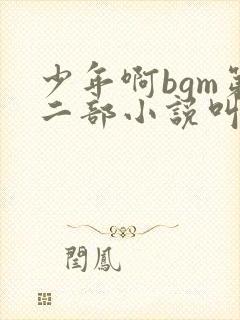少年啊bgm第二部小说叫什么封面