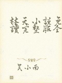 林天小说免费阅读完整版全文封面