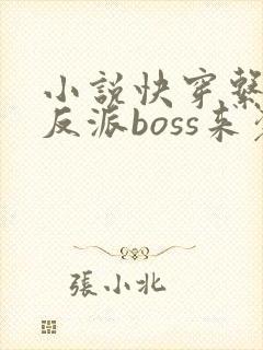 小说快穿系统之反派boss来袭
