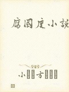 腐国度小说封面