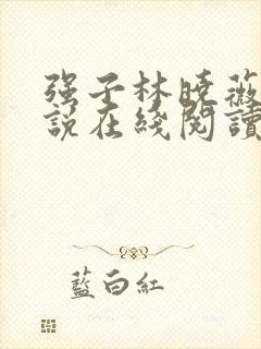 强子林晓薇的小说在线阅读全文无弹窗下载