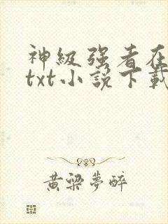 神级强者在都市txt小说下载