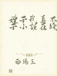 嫂子我真不是傻子小说在线阅读