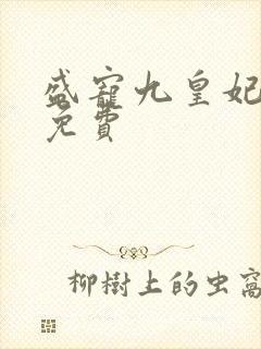 盛宠九皇妃小说免费