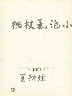 桃枝气泡小说