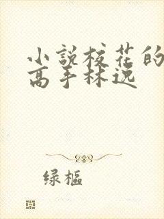 小说校花的贴身高手林逸