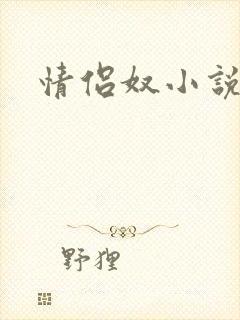 情侣奴小说