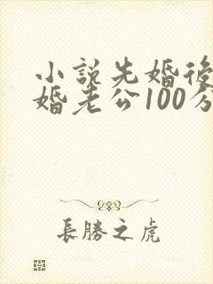 小说先婚后爱闪婚老公100分最新章节