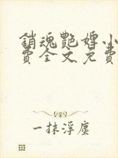 销魂艳婢小桃免费全文免费阅读封面