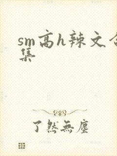 sm高h辣文合集