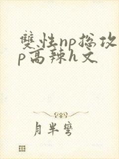 双性np总攻np高辣h文封面