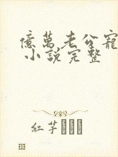 亿万老公宠上天 小说完整