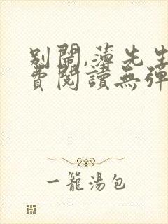 别闹,薄先生免费阅读无弹窗