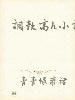 调教高h小说封面
