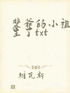 裴爷的小祖宗重生了txt封面
