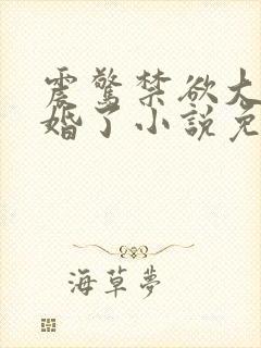 震惊禁欲大佬闪婚了小说免费阅读封面