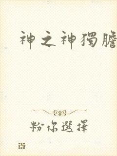 神之神独胆王