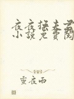 夜夜换夫君洛樱小说免费阅读封面