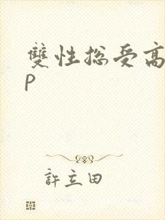 双性总受高hnp