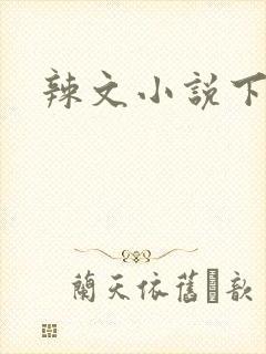 辣文小说下载