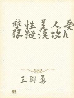 双性美人受×凶狠糙汉攻h
