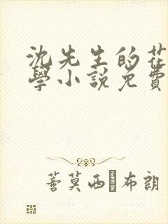 沈先生的花式教学小说免费