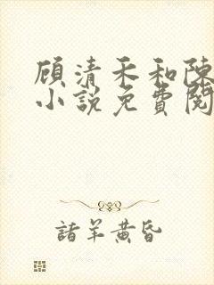 顾清禾和陈楚尧小说免费阅读封面