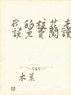 我的校花老婆小说免费阅读全文