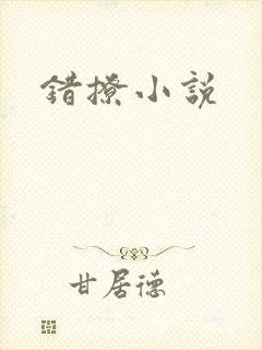 错撩小说