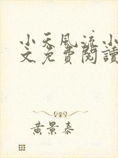 小天风流小说全文免费阅读无弹窗