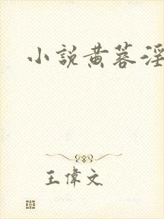 小说黄蓉淫封面