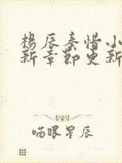 杨辰秦惜小说最新章节更新
