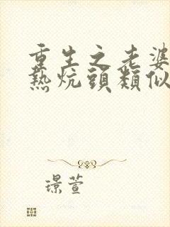 重生之老婆孩子热炕头类似小说封面