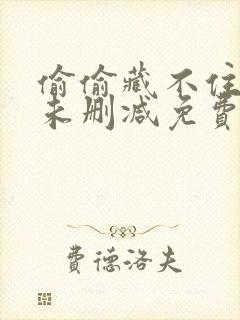 偷偷藏不住小说未删减免费阅读