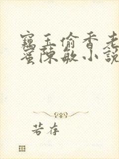 窃玉偷香老婆闺蜜陈敏小说阅读封面