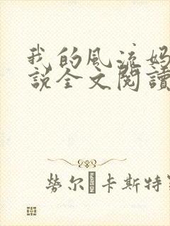 我的风流妈妈小说全文阅读封面