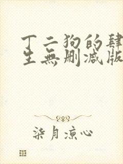 丁二狗的肆意人生无删减版 小说