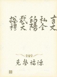 总裁的私有宝贝穆天阳全文阅读免费