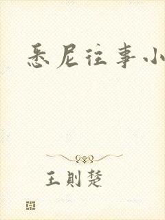 悉尼往事小说封面