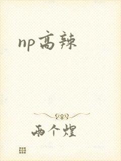 np高辣