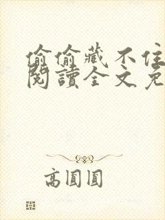 偷偷藏不住在线阅读全文免费