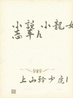 小说 小龙女尹志平h封面