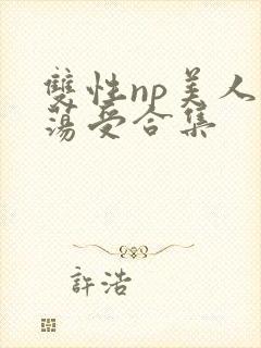 双性np美人浪荡受合集封面